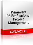 P6-Professional-Project-Management.jpg